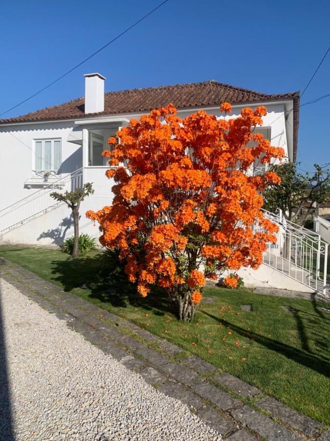 Casa Das Uveiras Pacos de Ferreira Kültér fotó